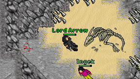 Lord Arrow on screen