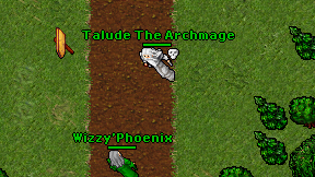 Talude The Archmage on screen