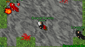 Royal Kevin on screen