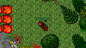 Xvonmox on screen