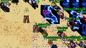 Lepofix on screen