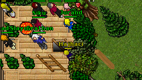 Hajhaci on screen