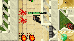 Hoshumaru on screen