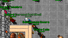 Coronel Red Skull on screen
