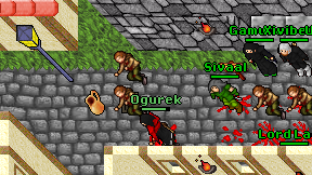 Ogurek on screen
