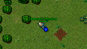 Amoshi Mosha on screen