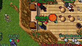 Dizasik on screen