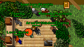 Arad Druid on screen