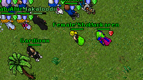 Female'Shadow on screen