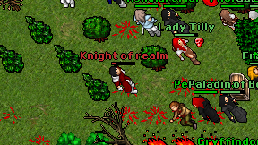 Knight of realm on screen