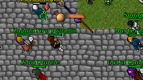 Tiro'Palladin on screen