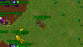 Yashmine on screen