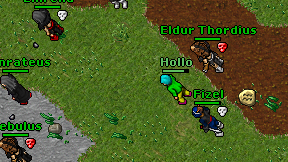 Hollo on screen