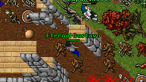 Eternal Gustavo on screen