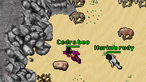 Cedra beo on screen