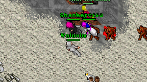 Waluxim on screen