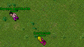 Custelah on screen