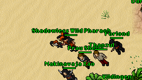 Shadowless Wild Pharaoh on screen