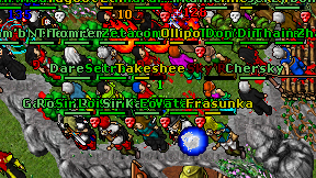 Sky'Reef on screen