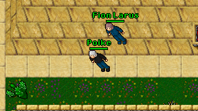 Poike on screen