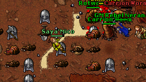 Saya'Mico on screen