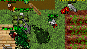 Dygii on screen