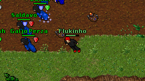 Flukinho on screen