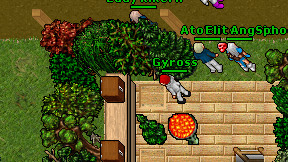 Gyross on screen