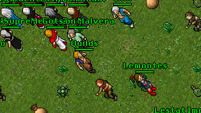 Quilds on screen