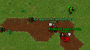 Dragon Headhunter on screen