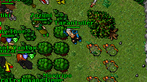 Tarantuller on screen