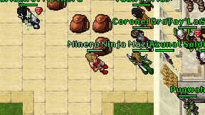 Minero Ninja on screen