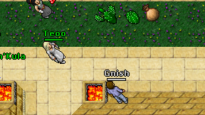 Gnish on screen