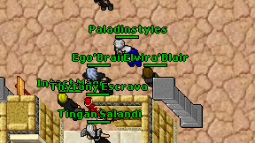 Paladinstyles on screen