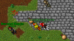 Iceliri Edul on screen