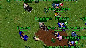 Kammien on screen