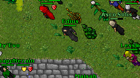 Edius on screen