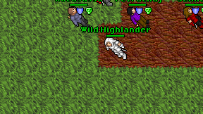 Wild Highlander on screen