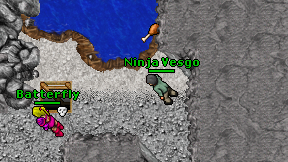 Ninja Vesgo on screen