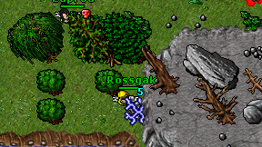 Rossgak on screen