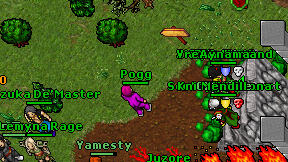 Pogg on screen