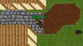 Begafut on screen