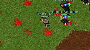 Don Luci on screen