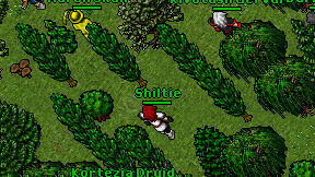 Shiltie on screen
