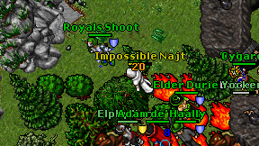 Impossible Najt on screen