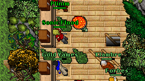 Sonic Flood on screen