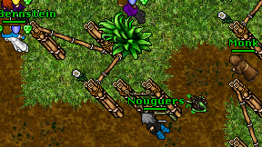 Nouguers on screen