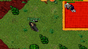 Xiphex on screen