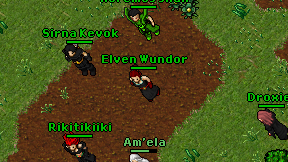 Elven Wundor on screen
