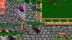Druid Telefon on screen